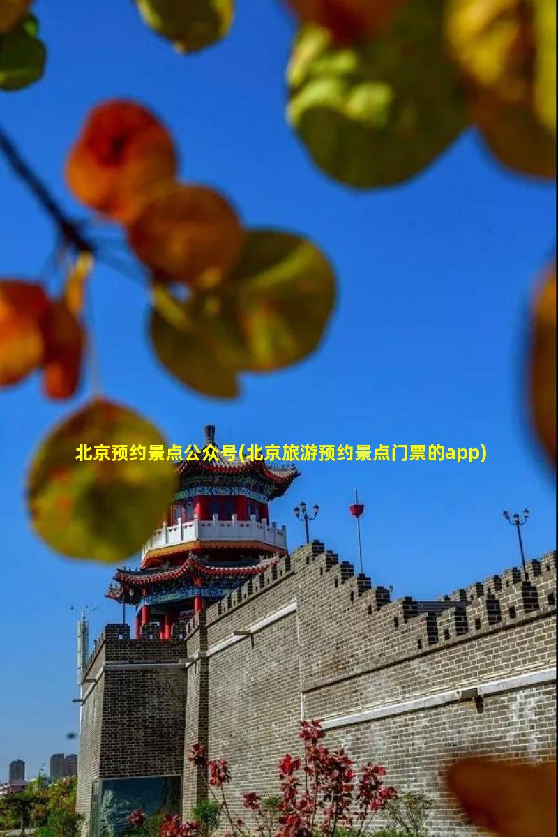 北京预约景点公众号(北京旅游预约景点门票的app)
